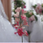 Bela Flower