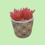 Rose flower Pot
